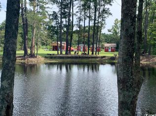 139 Pumpkin Ash Loop, Conway, SC 29527