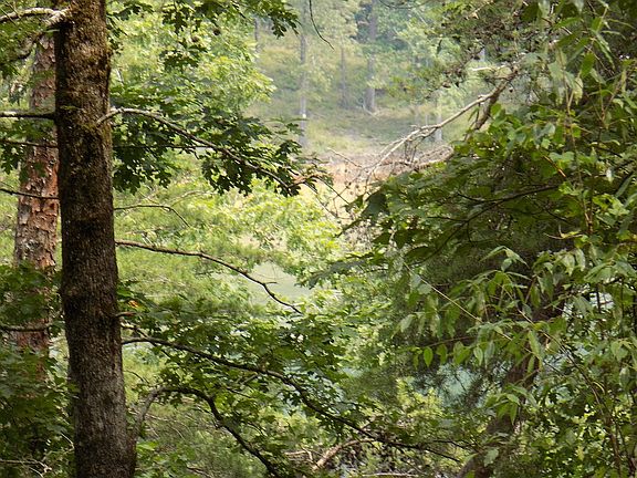Land on BOTH Sides of Road