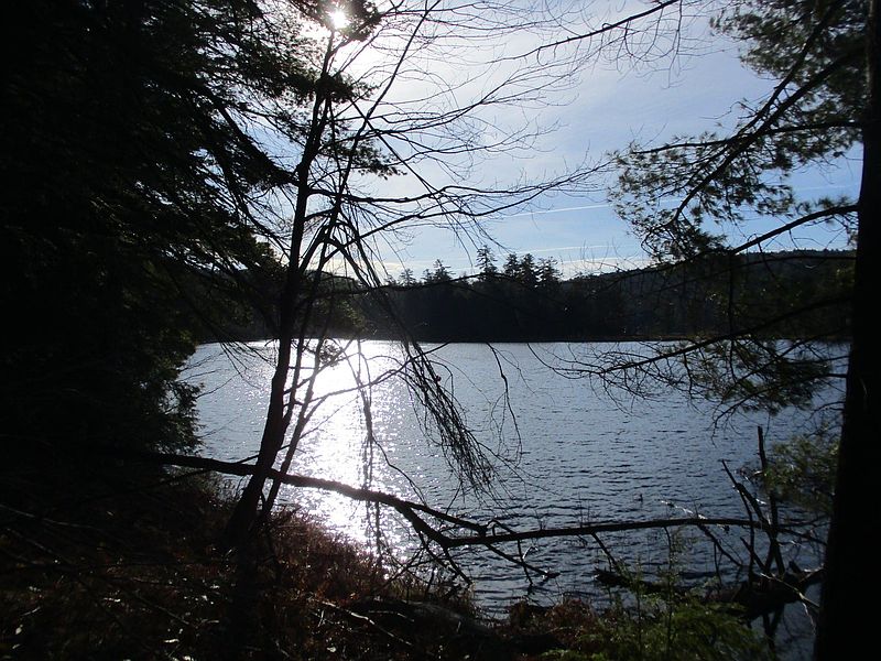 3rd image of FOREST LAKE Road