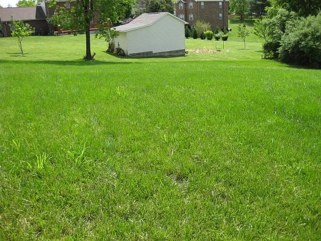 890 New Village Dr NW — Photo 4