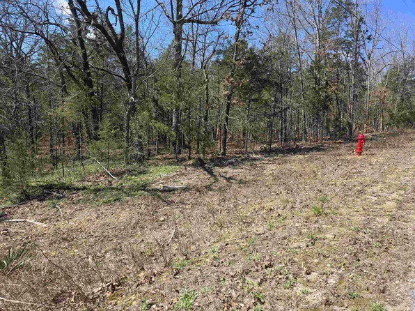 L32-B19 Katta Dr, Cherokee Village, AR 72529