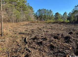 TBD Redmond Ct. Lot 20, Conway, SC 29526