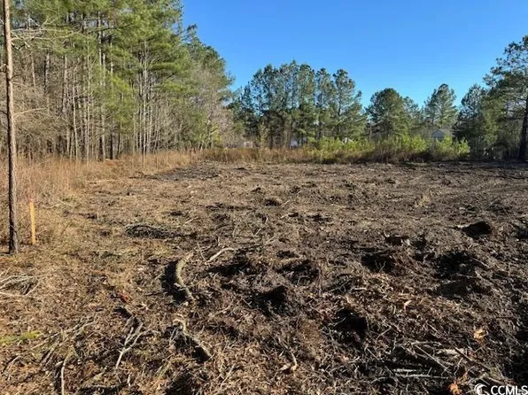 TBD Redmond Ct. Lot 20, Conway, SC 29526