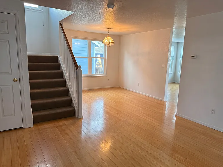 8043 Clay Dr — Photo 3