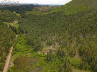 10223 Trail Creek Rd, Divide, CO 80814