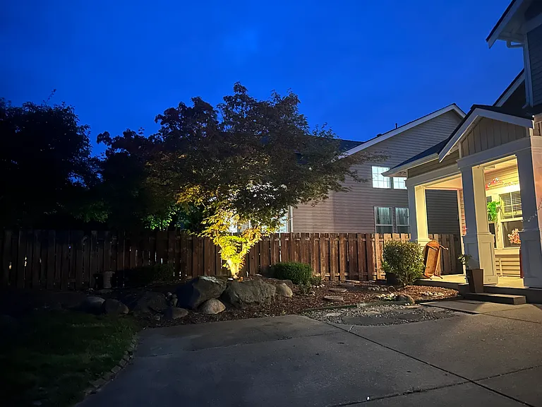Front vview during night time