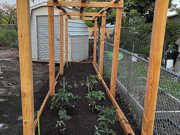 Side yard, raised garden bed