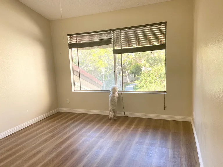 379 Stanford Ct — Photo 10