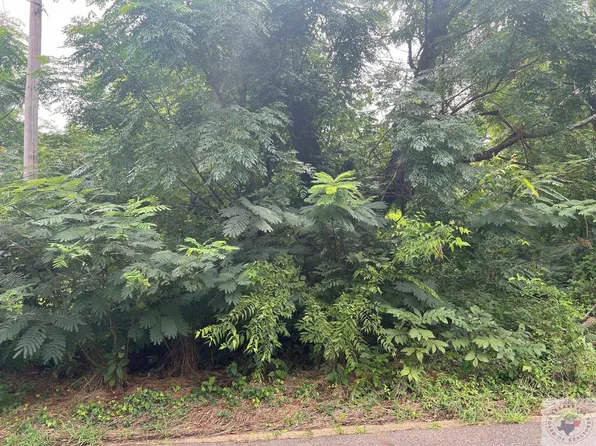 Roosevel Bismark, Texarkana, AR 71854