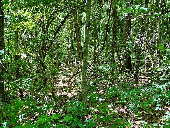 3rd image of 0 Deer Run Rd Lot 25
