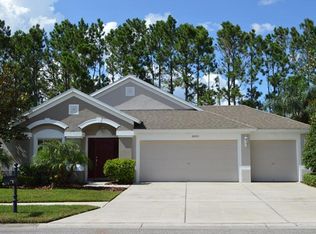 20713 Riverforest Dr, Land O Lakes, FL 34638