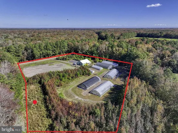 30402 Jay Patch Rd, Selbyville, DE 19975