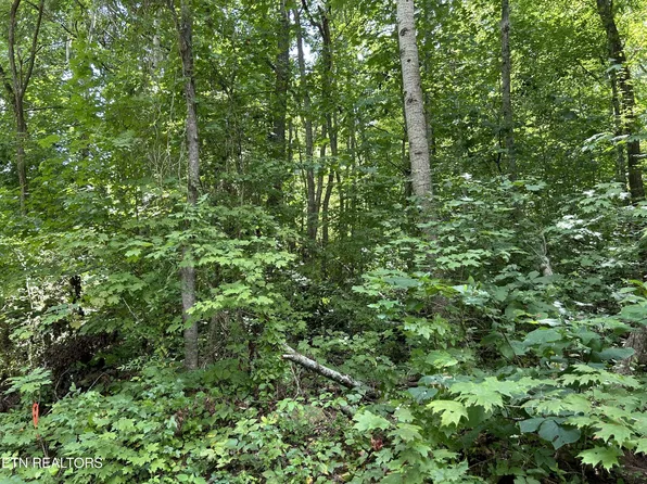 0 Pearl Ln Lot 26, Maynardville, TN 37807