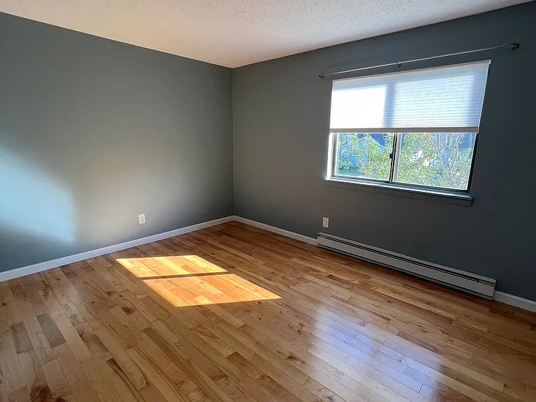 170 E Hadley Rd #133 — Photo 22