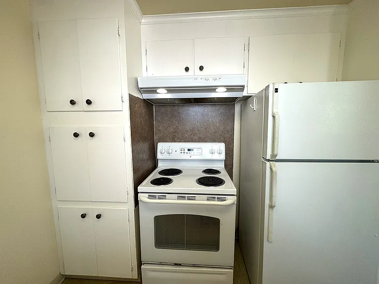 Electric Stove