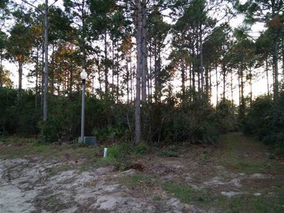 154 Skimmer Ln, Lanark Village, FL, 32323