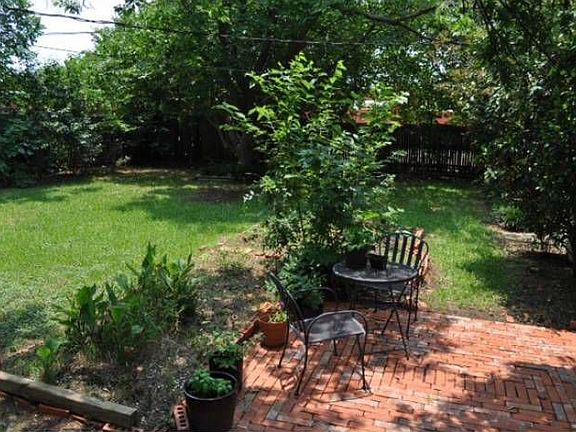 Lush back yard.