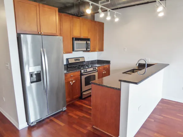 1550 S Blue Island Ave Unit 407, Chicago, IL 60608