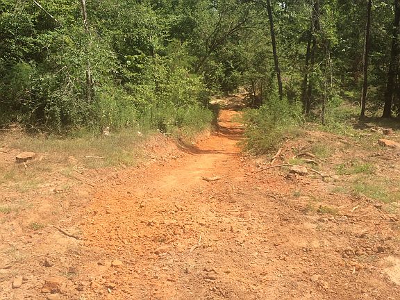 5th image of 170 County Road 1510