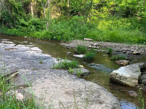 Ellison Ridge Rd, Jumping Branch, WV 25969