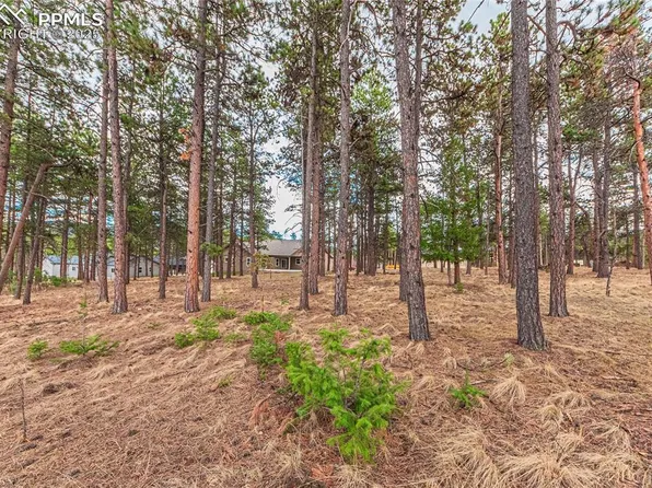 1290 Firestone Dr, Woodland Park, CO 80863