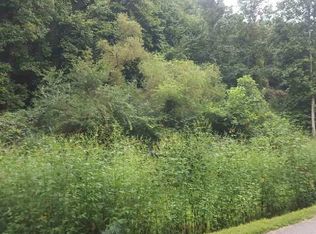 Lone Mountain Rd, Andersonville, TN 37705