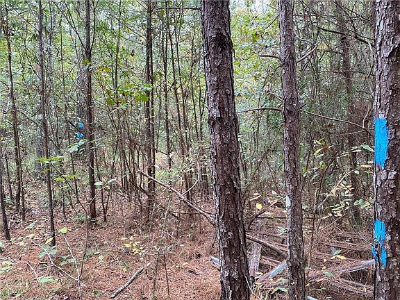 5th image of 15162 Penalber Rd
