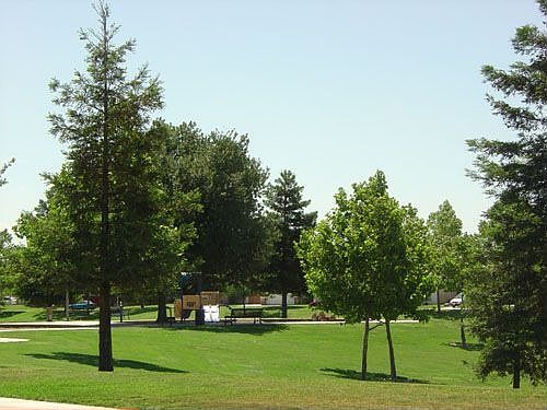 Park Across the Street!