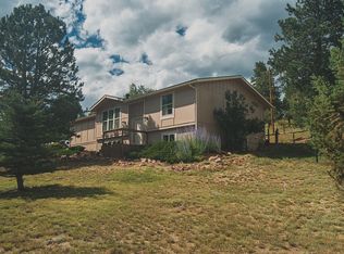 33511 Dotty Rd, Pine, CO 80470
