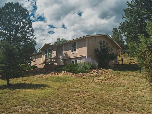 33511 Dotty Rd, Pine, CO 80470