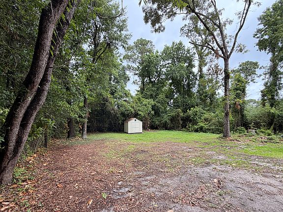 3rd image of 313 Kingston Rd