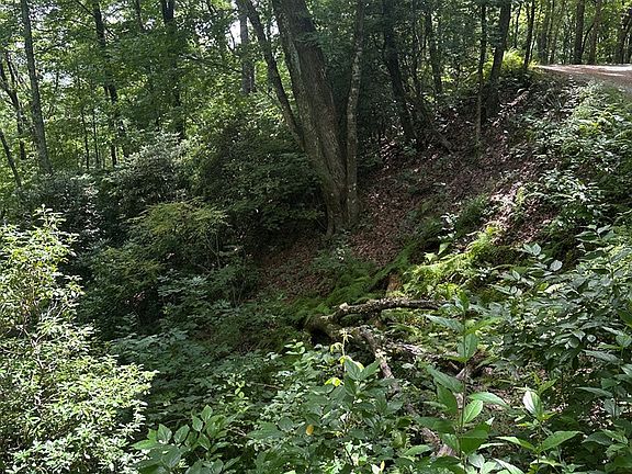5th image of 0 Davis Rd