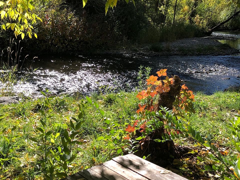 View of the Ogden River right out the back door!