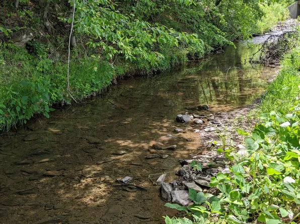 0 Big Creek Rd, Hartford, TN 37753