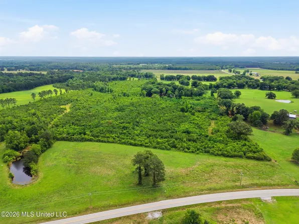 0 Highway 29 S Lot 3, Ovett, MS 39464