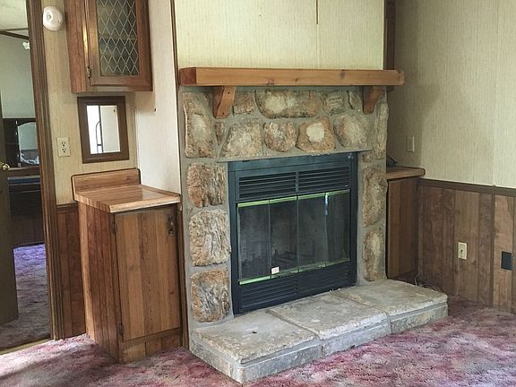 Wood-burning Fireplace