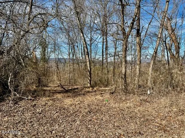 Skyline View Ln, Kingston, TN 37763