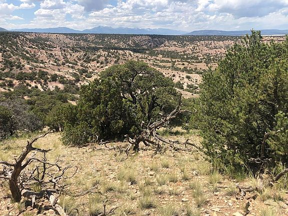 3rd image of 9 Colorado Land Grazing