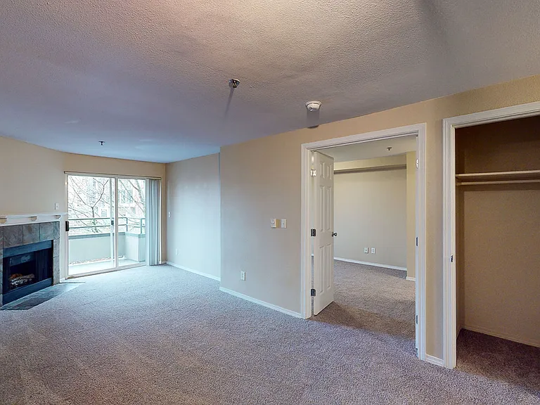 Apartment living room with plush carpet flooring and patio or balcony in select homes.