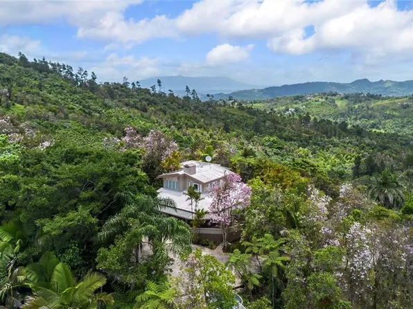State Highway 184 Guavate, Cayey, PR 00736