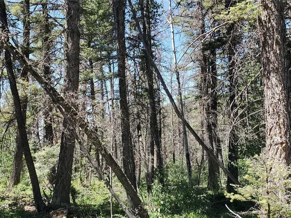 5874 Pedersen Road LOT 5874, San Luis, CO 81152