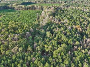 463 N Star Rd, Braxton, MS 39044