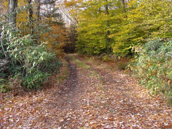 Beaver Dam Rd, Greentown, PA 18426