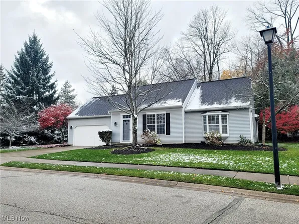 10505 White Ash Trl, Twinsburg, OH 44087