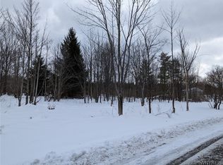 7663 Bleistein Rd #1, Colden, NY 14033