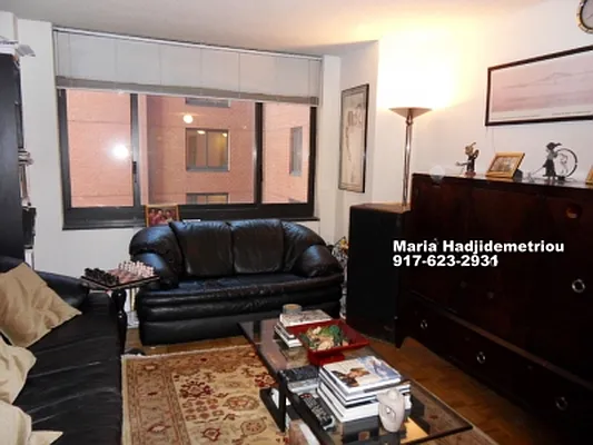 Rented by Citi Habitats | media 124