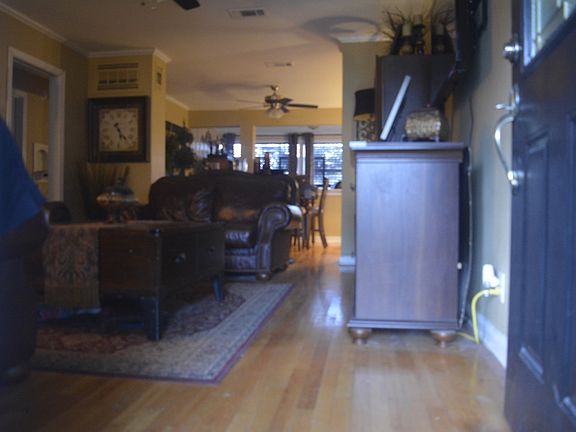 3rd image of 262 Lemur Dr