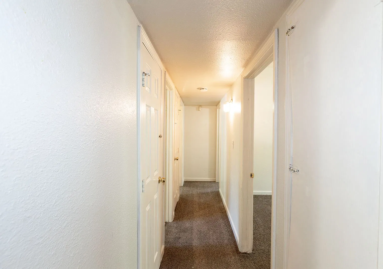 Beautiful 3 bedroom 1 bath! — Photo 2