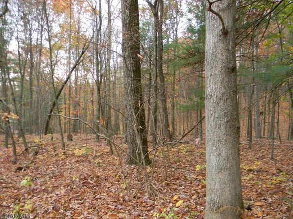 656 French Creek Rd, Everett, PA 15537