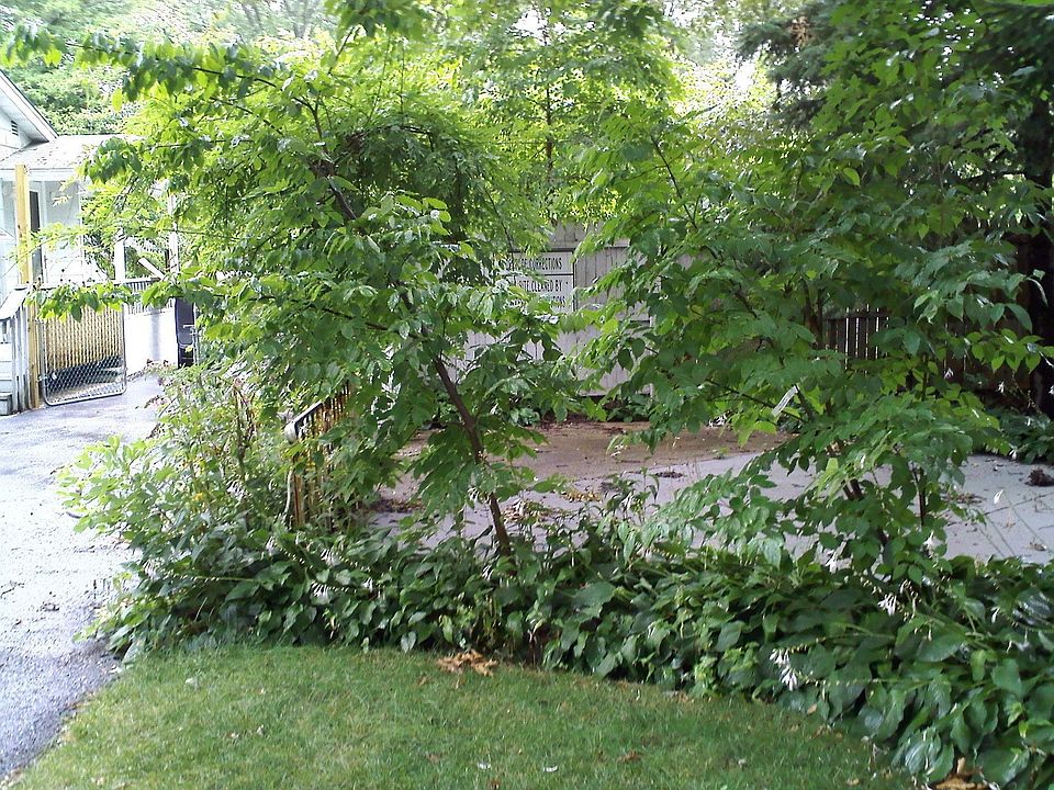 1st image of 5 Swan Blvd